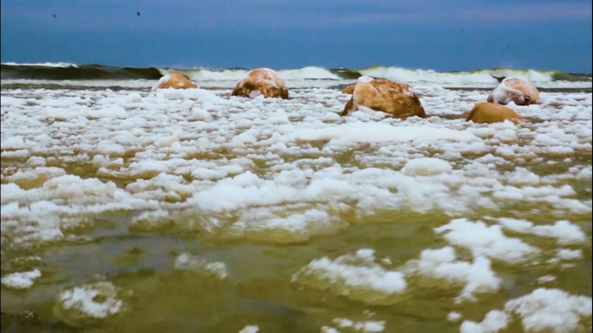 A unique phenomenon occurred on the shoreline of Lake Michigan in Holland, Michigan, on Feb. 15, as large ice balls washed ashore.
