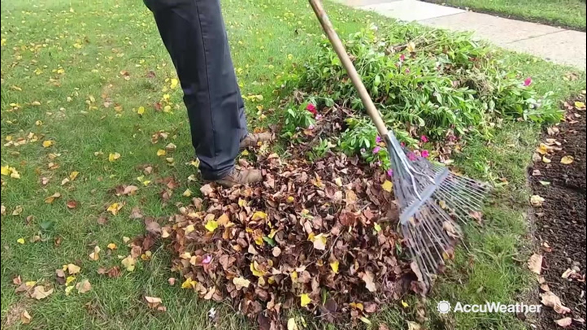 With the start of fall and cooler months ahead, Accuweather's Dexter Henry talked to a Northeast lawn care expert about how to winterize your lawn.