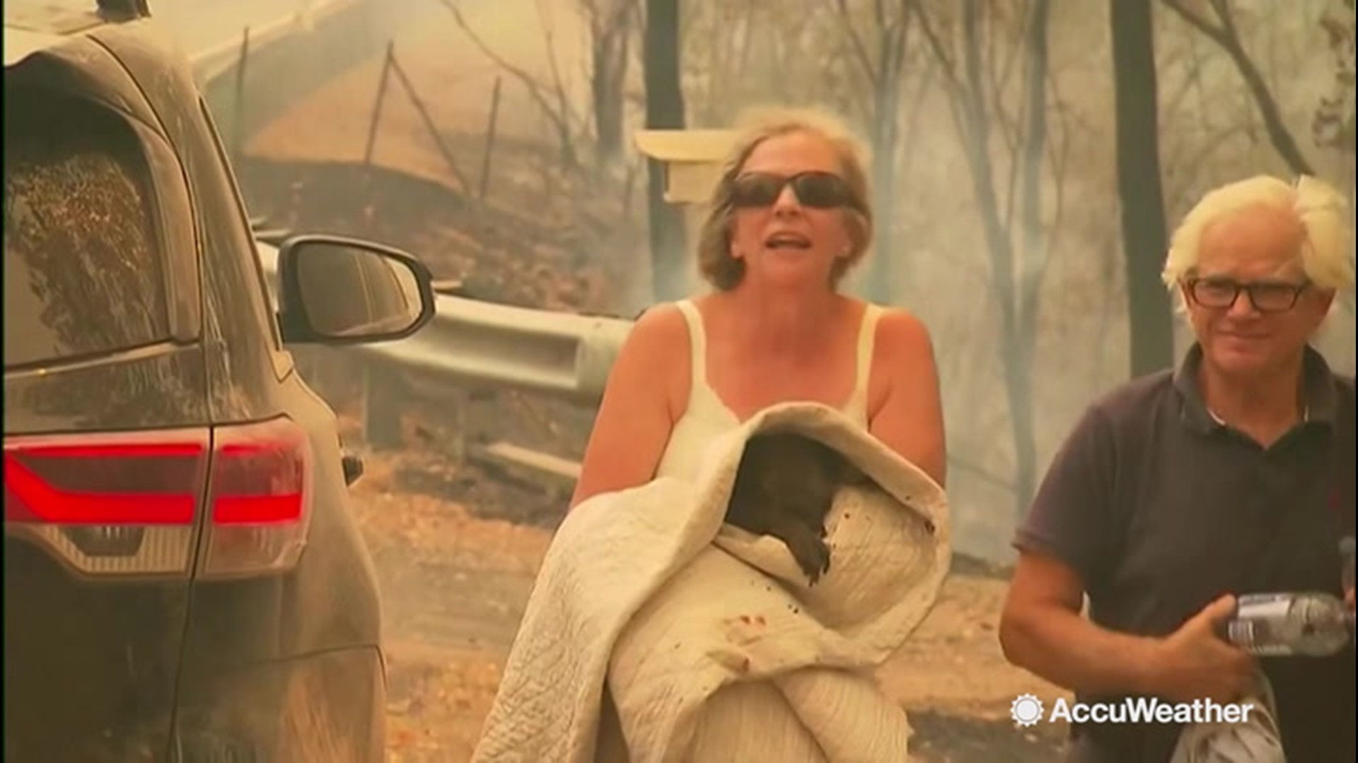 A heroic woman rescued a badly burnt and wailing koala from an Australian bushfire on Tuesday, Nov. 19. The country's koala populations have been a major victim of the flames, with more than 350 of the marsupials feared killed in a major habitat.