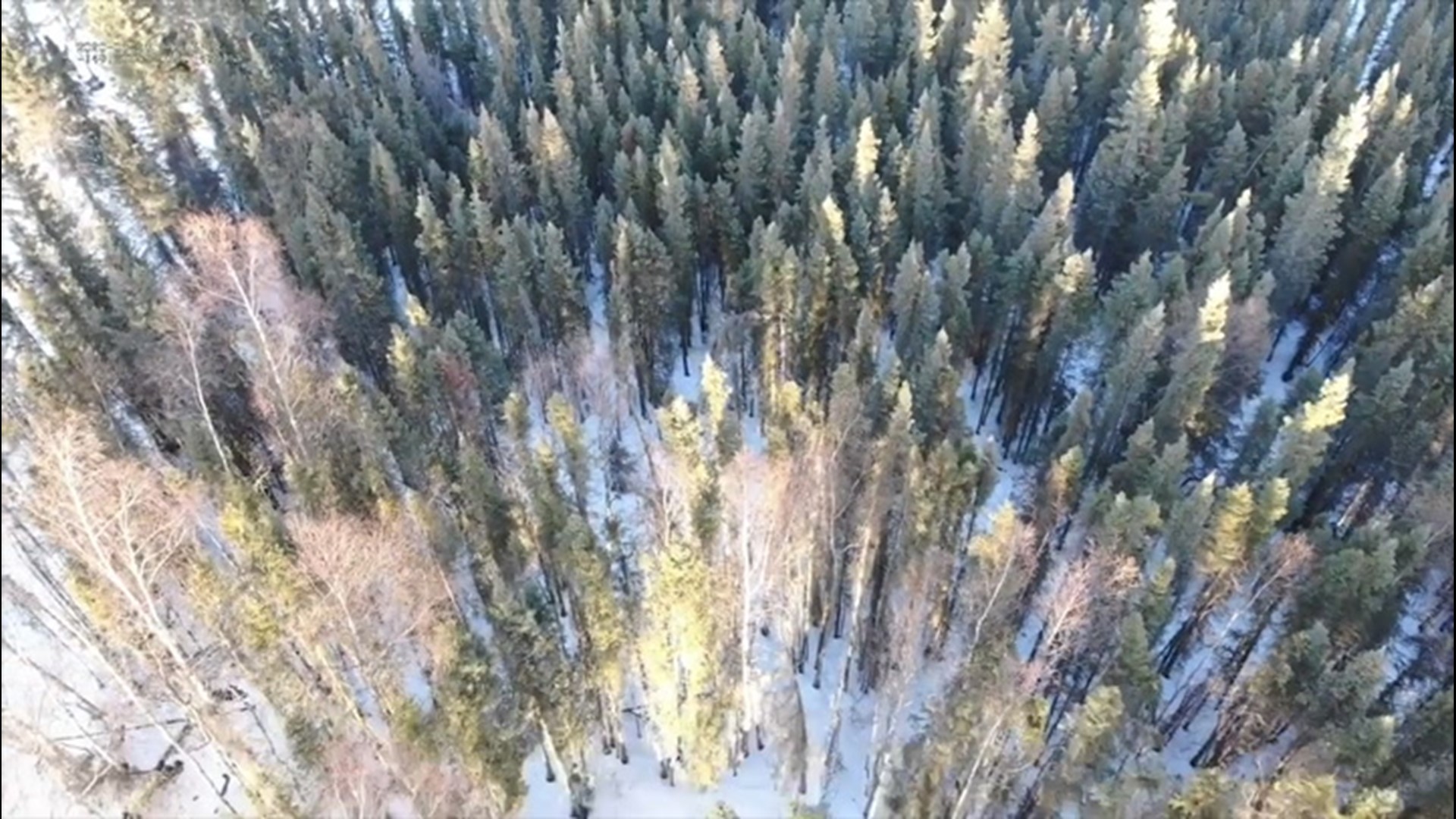 Drone footage from Anchorage, Alaska, on March 28 shows how police use drones to find and rescue lost hikers.