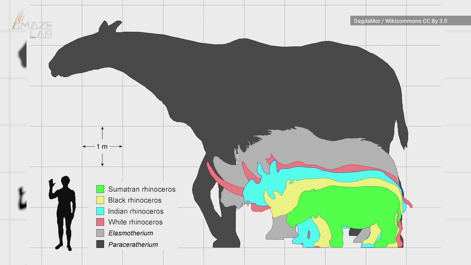 Giant Prehistoric Insects