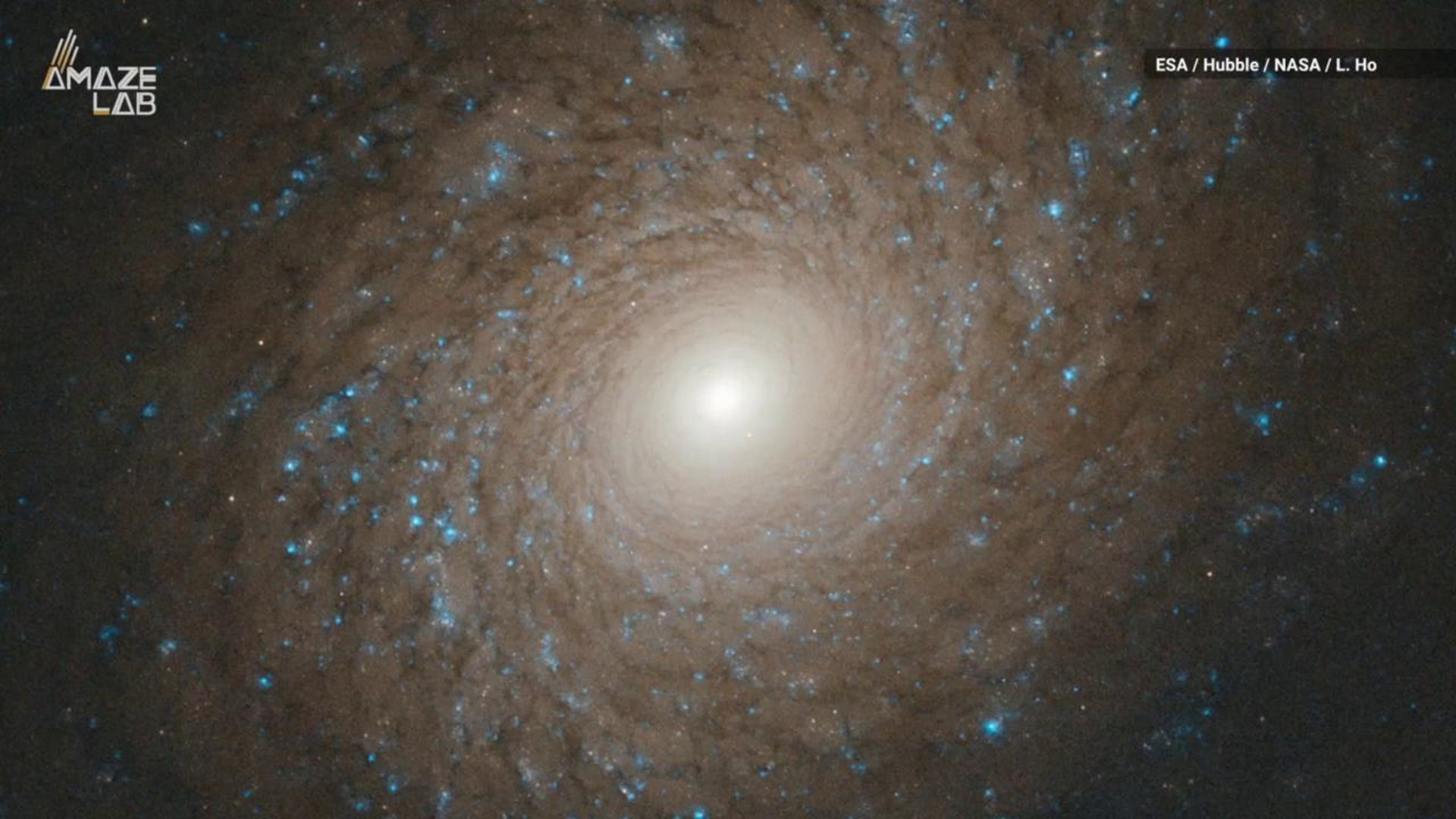 NASA says spiral galaxy NGC 2985 may collide with another galaxy one day, but for now we can enjoy it in all its symmetrical glory.