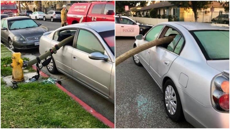 California resident learns the hard way why you shouldn t park in