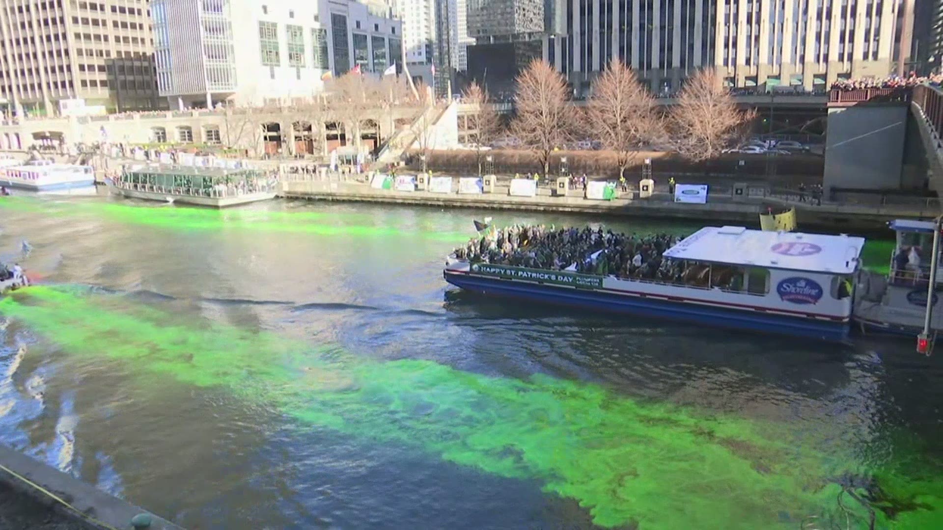The Chicago River was on Saturday dyed green in honor of St. Patrick's Day, as the city prepared for its world-renowned parade.