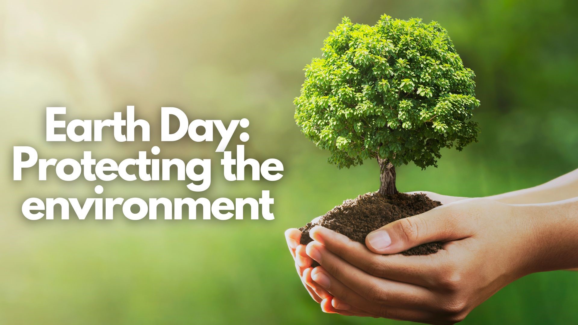 Earth Day is a time to learn more about the importance of protecting the environment. From ways you can help to what you need to know about climate change.