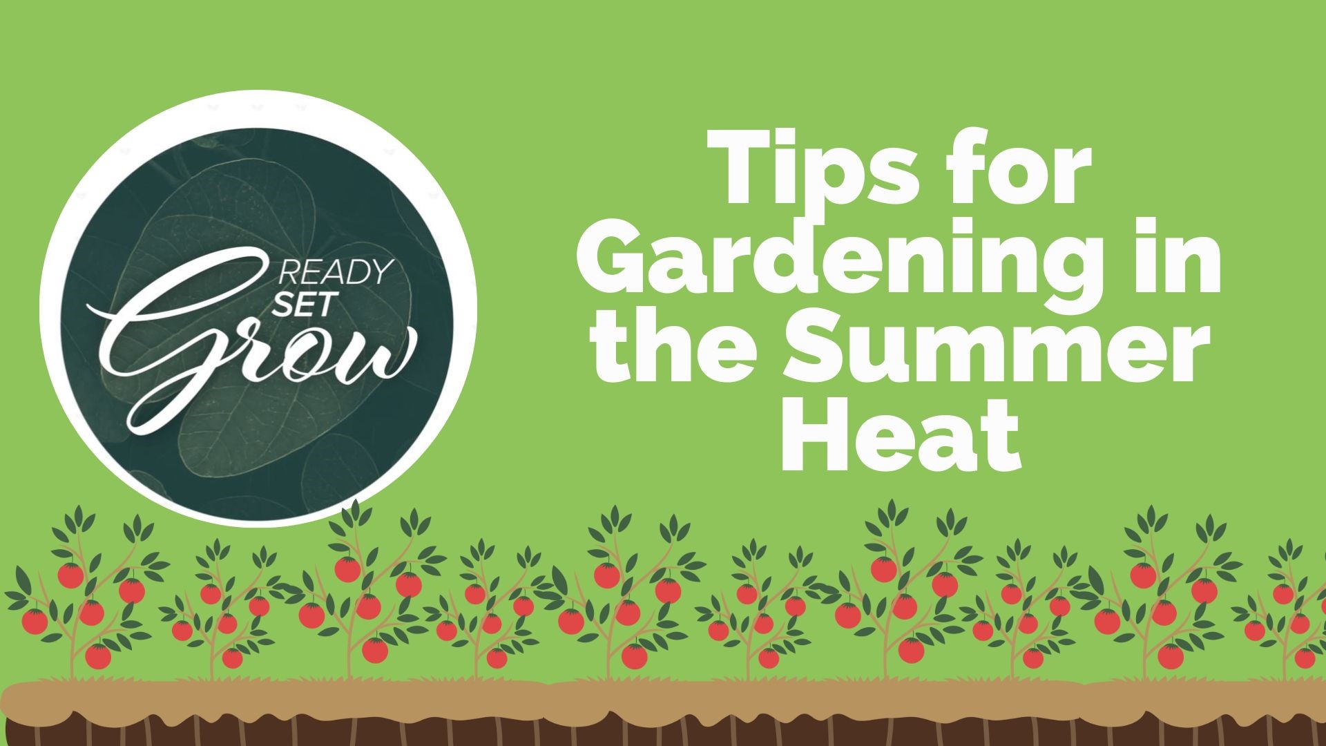 Ready, Set, Grow | Tips for gardening in the summer heat | wgrz.com