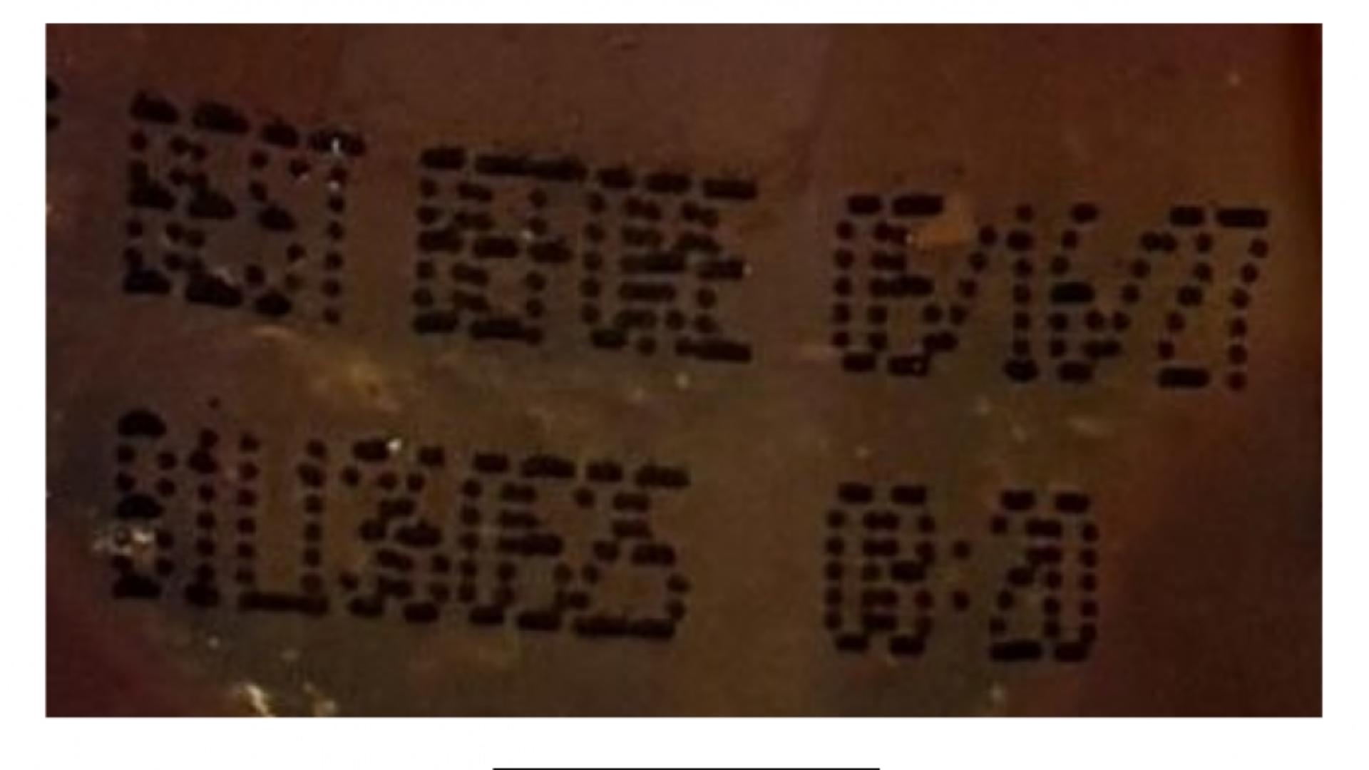 Savannah Bee Company recalling Honey BBQ Sauce-Mustard due to ...