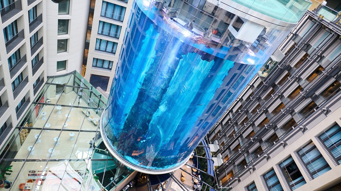 Colorado-based company sending team to review aquarium collapse - Vimarsana News