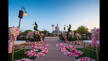 Want A Disney Wedding It Ll Cost You Wgrz Com