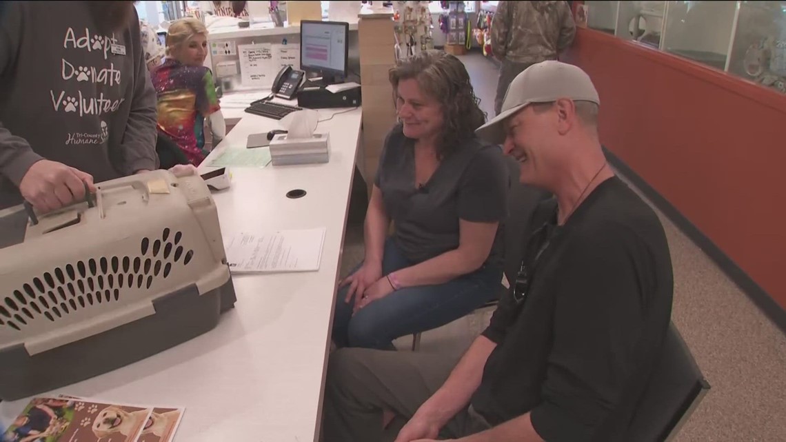 Missing cat reunited with owner after 7 years
