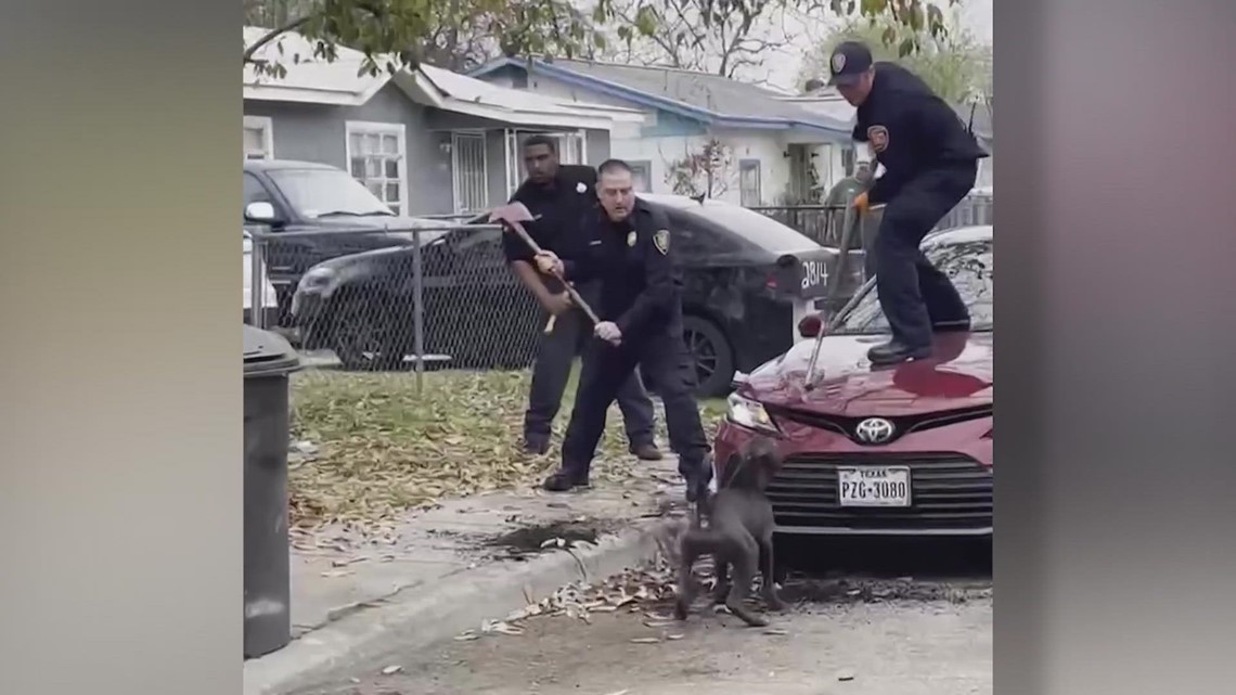 Lawsuit filed in deadly dog attack on San Antonio's west side | wgrz.com