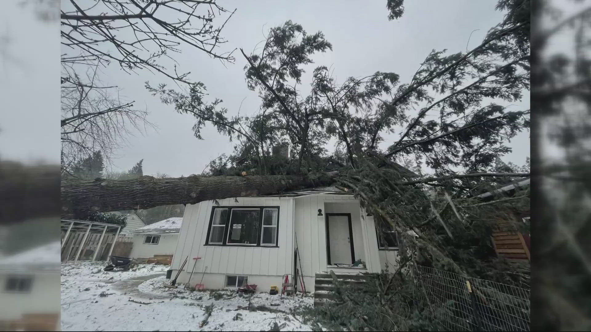In 2022, the Southwest Portland family had applied for a tree removal permit, which the city denied. Two years later, a January storm brought it down on their home.