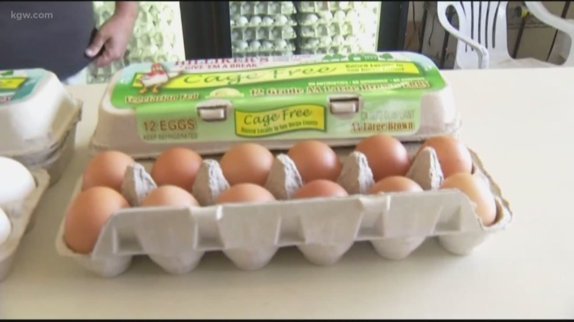 Good to know: Decoding the labels on eggs