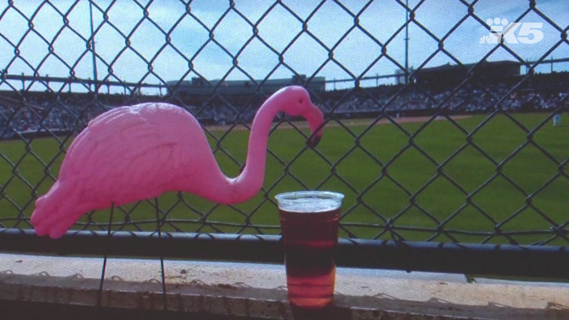 A stranger stole a Mountlake Terrace family's flamingo lawn ornament, then took the pink bird on a weeks-long vacation. The stranger chronicled his adventures on a Facebook page. https://kng5.tv/MingotheFlamingo