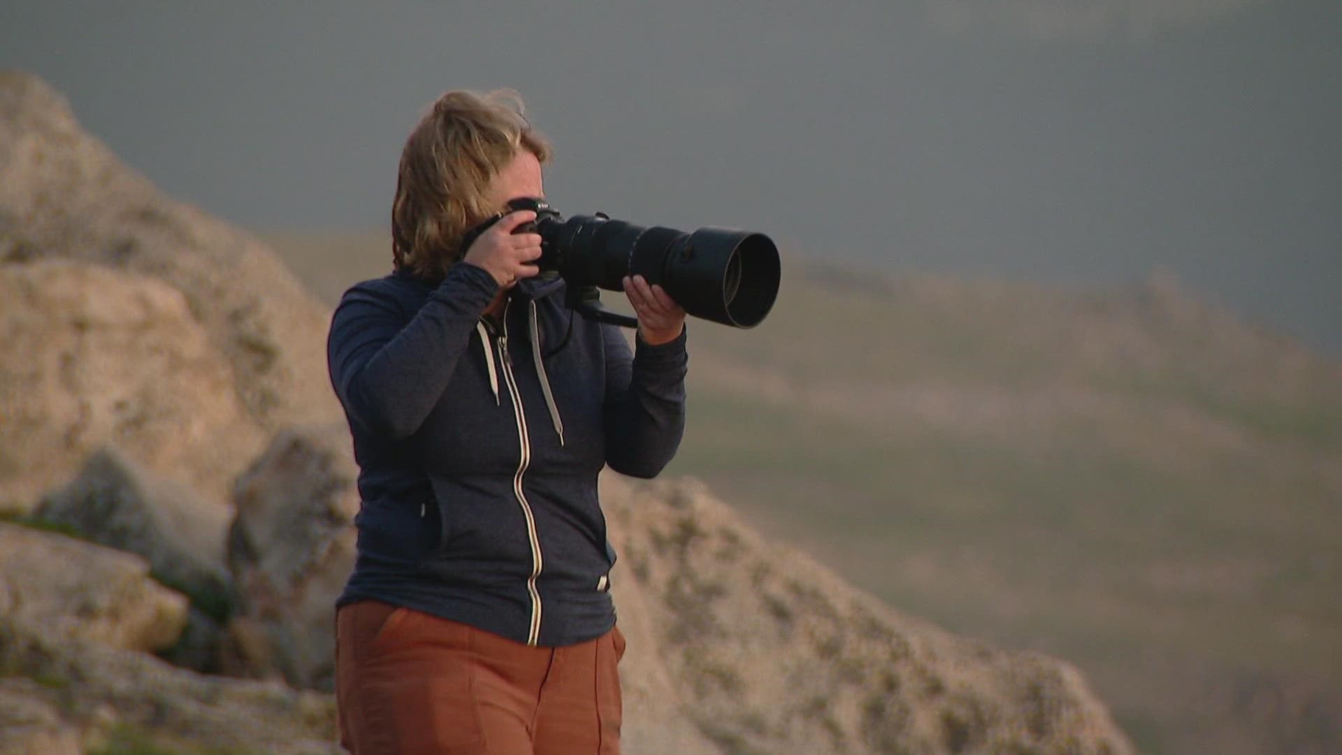 One year through the lens of wildlife photographer Molly McCormick shows that each season in Colorado is spectacular.