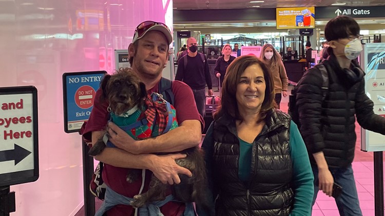 Dog lost for 7 months reunited with owner at Sacramento airport