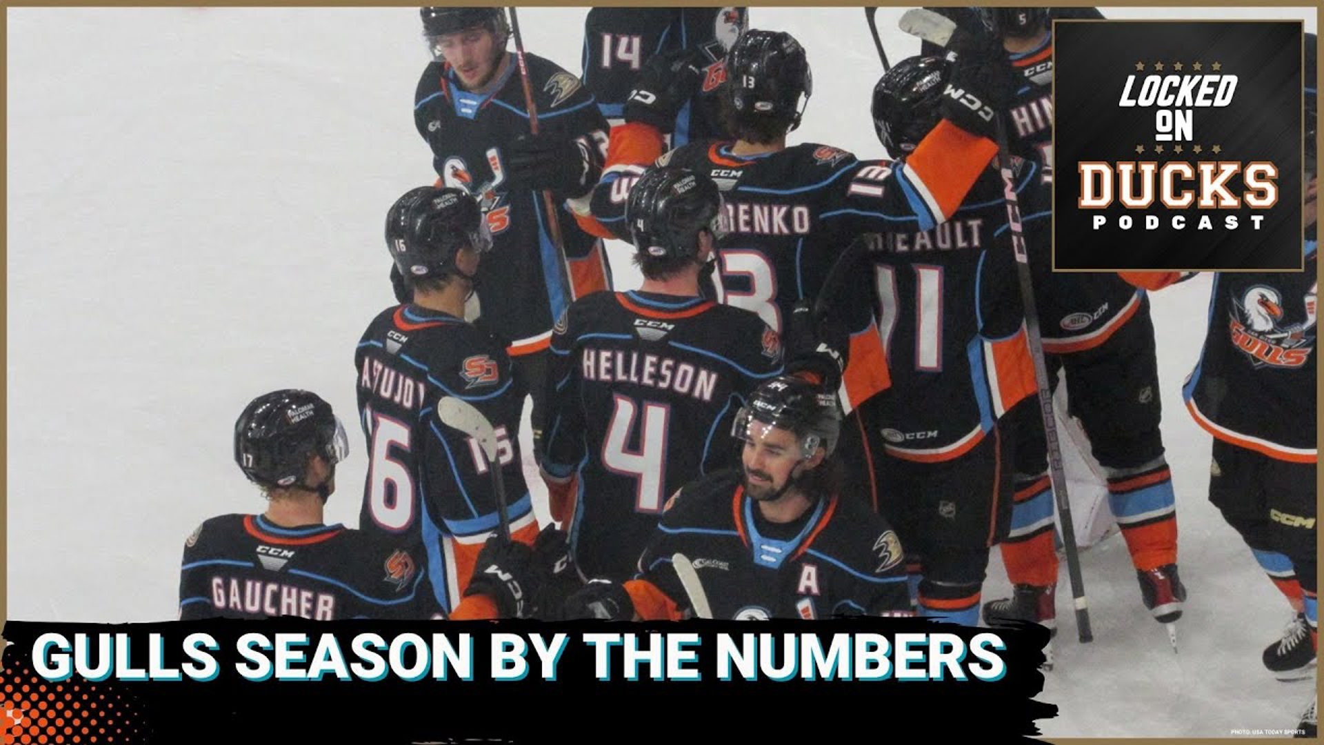 While the San Diego Gulls didn't have as much success as they would have hoped, there was still some significant improvements compared to the previous season.