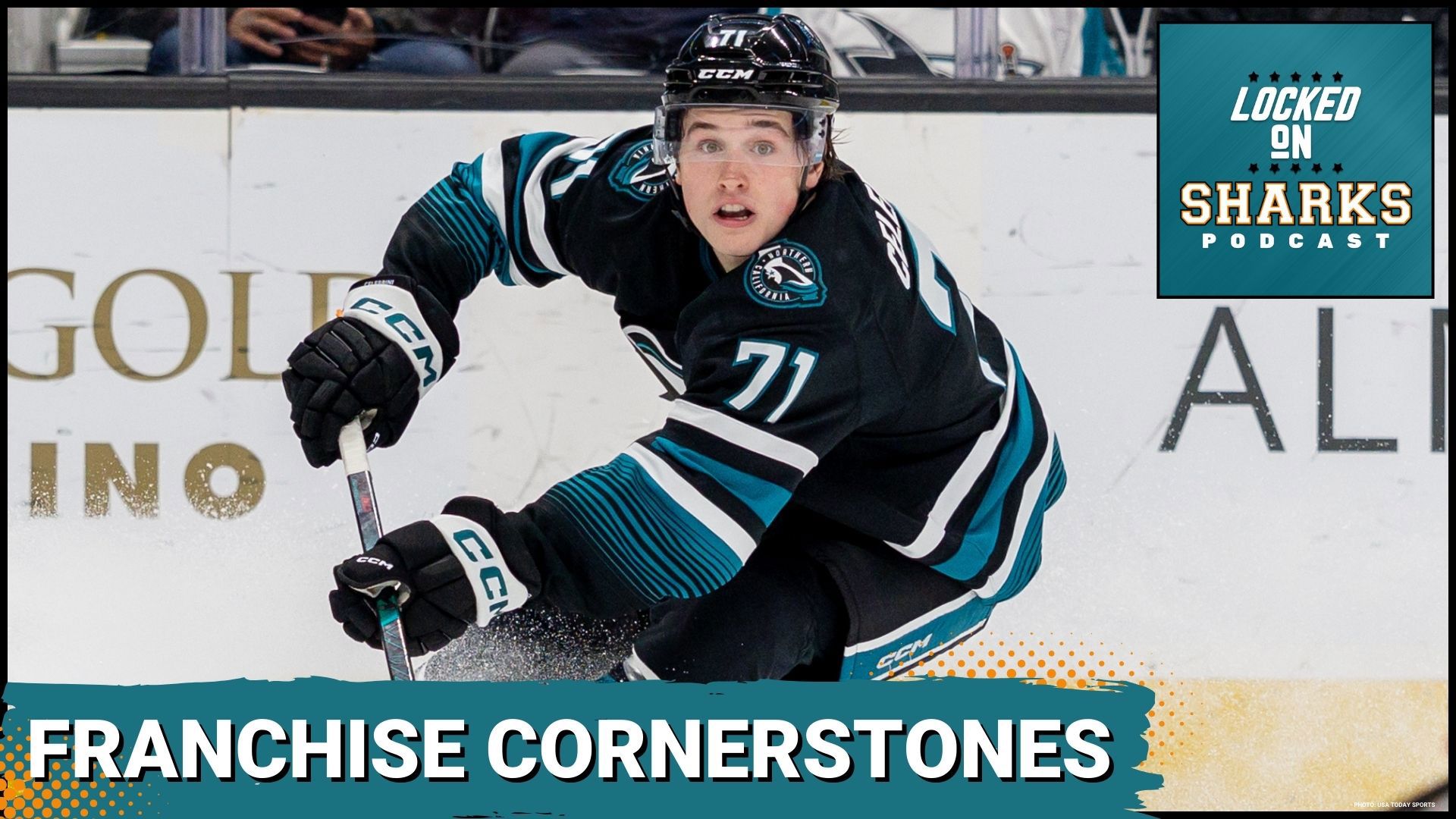 Are the San Jose Sharks on the brink of a significant transformation? In this episode, JD Young provides an in-depth analysis of the Sharks' roster and player tiers.