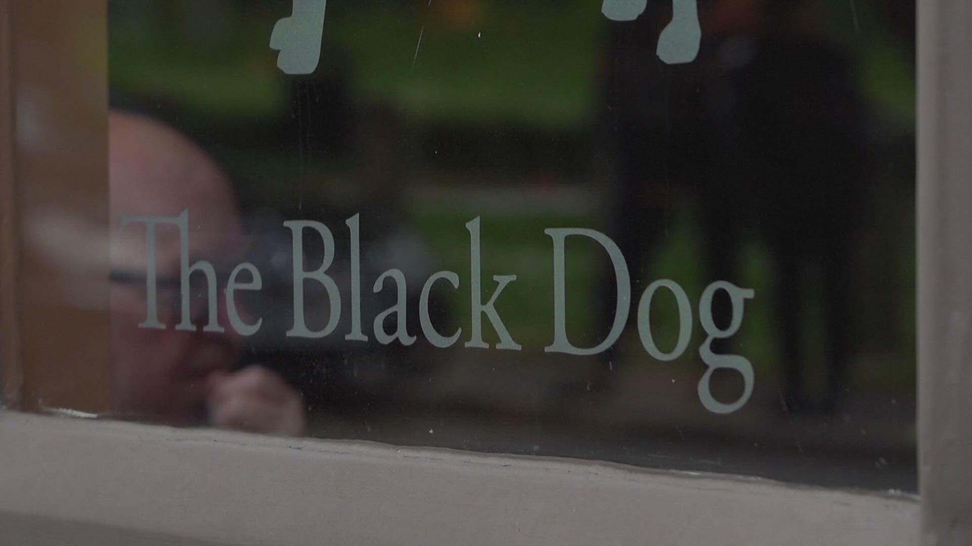 The Black Dog said the buzz started online a week before "The Tortured Poet's Department" was released.