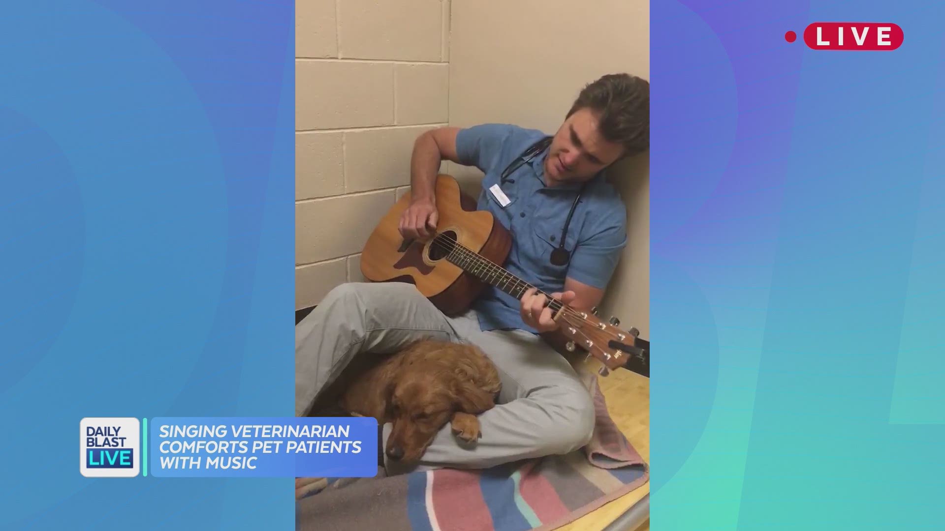 Doctor Ross Henderson is a veterinarian whose voice soothes all species! This vet has gone viral for his adorable videos that show Henderson cuddling and serenading animals before going under for surgery. His videos have melted the nation's hearts and Dai