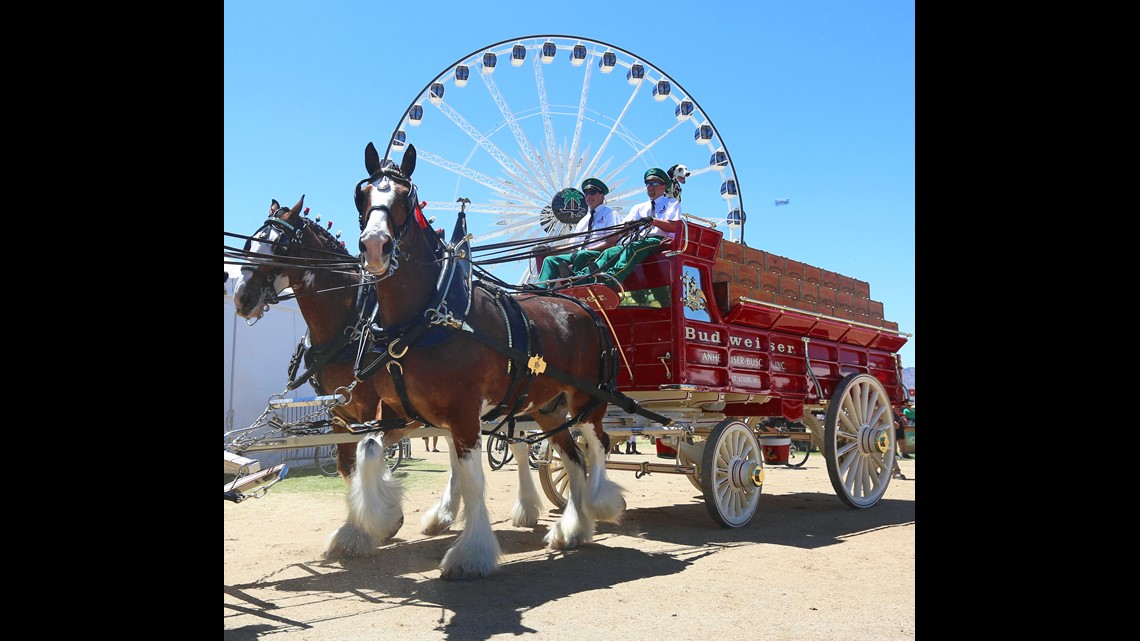 Budweiser Clydesdales Super Bowl commercials