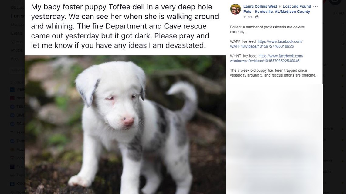 Crews Rescue Deaf Puppy Stuck In Hole In Alabama Wgrz Com