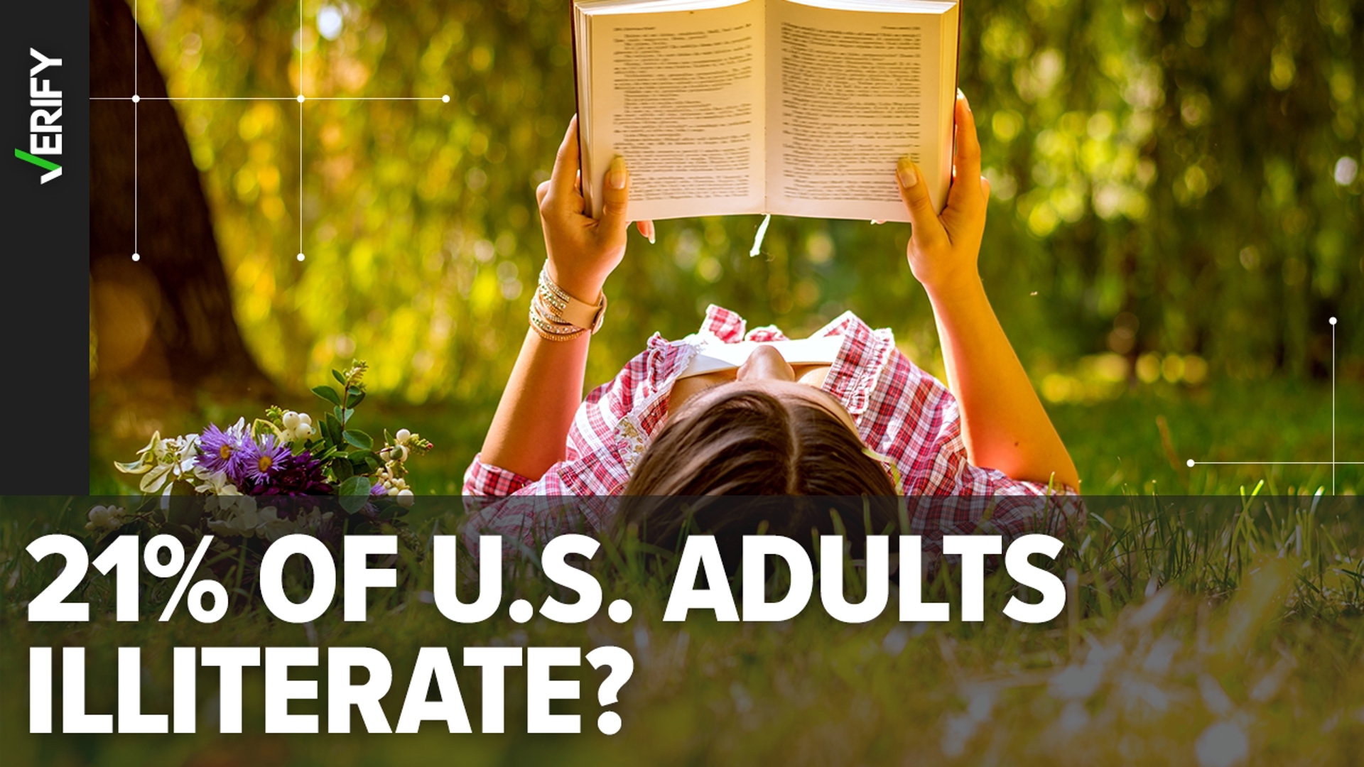 Claims that one in five American adults are illiterate and 54% read below sixth grade level are misrepresentations of old stats.