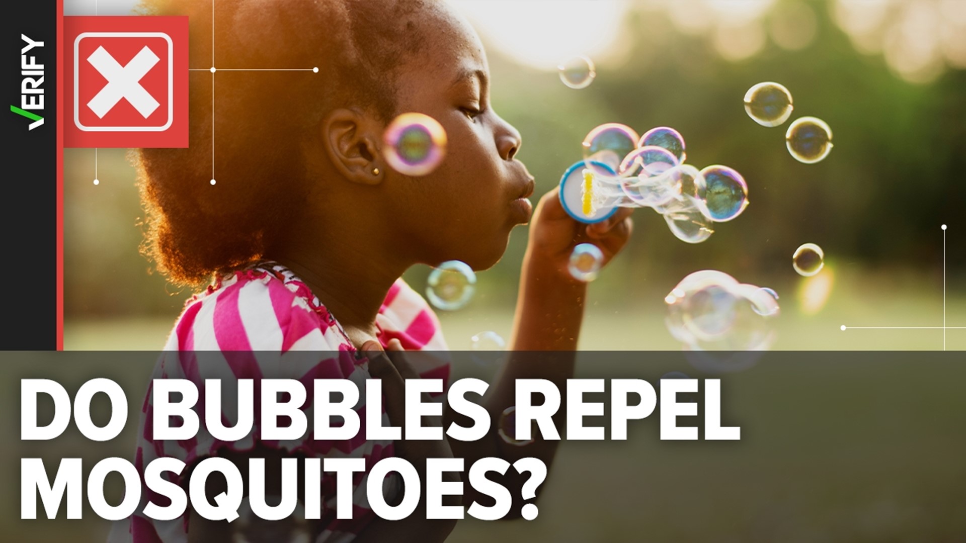 Contrary to viral social media posts, soapy bubbles don’t work as insect repellent or pesticide.