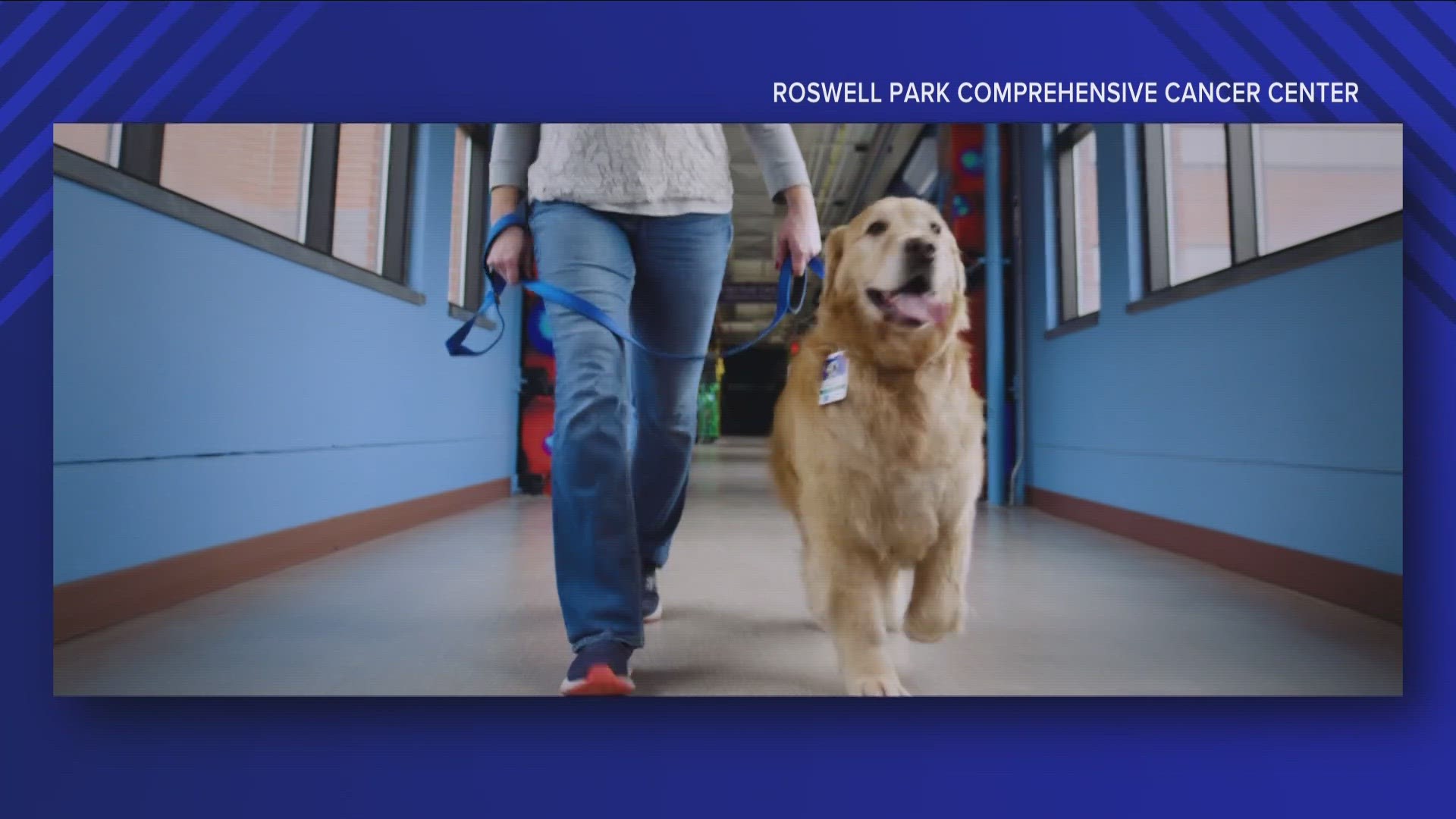 Roswell Park releases Super Bowl Ad highlighting Center's Therapy Dog Program