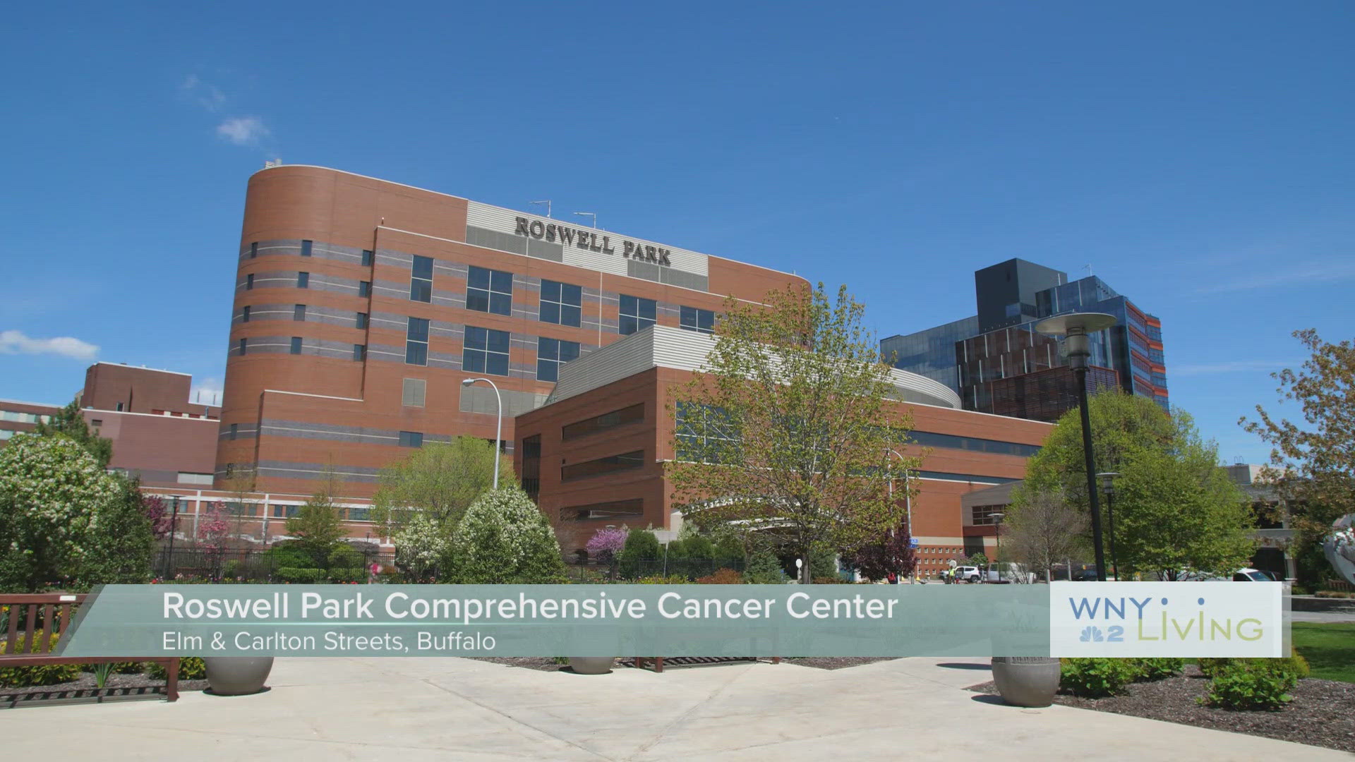 WNY Living - July 12th - Roswell Park Comprehensive Cancer Center - (THIS VIDEO IS SPONSORED BY ROSWELL PARK COMPREHENSIVE CANCER CENTER)