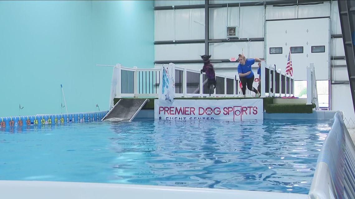 Dog jumping contest happening in WNY