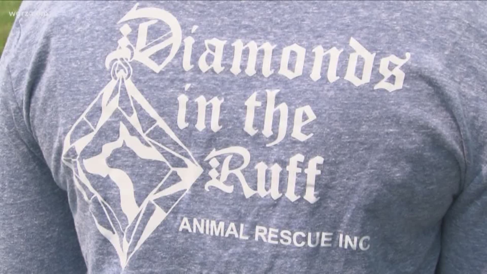 They rely on Good Samaritans in the community who are willing to take these animals in until they can find their forever homes.
