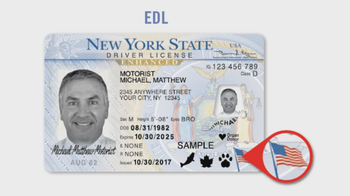 renew license ny card