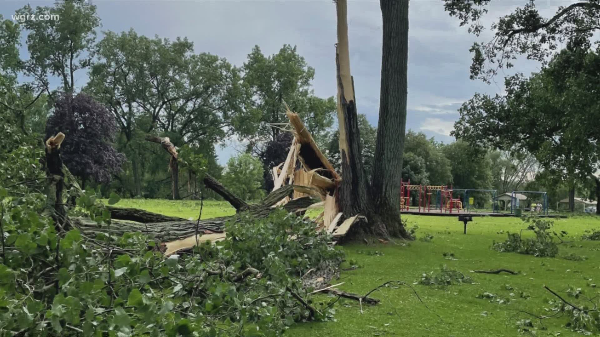 A portion of West Canal Marina in Pendleton had to be closed until some fallen trees can be removed.