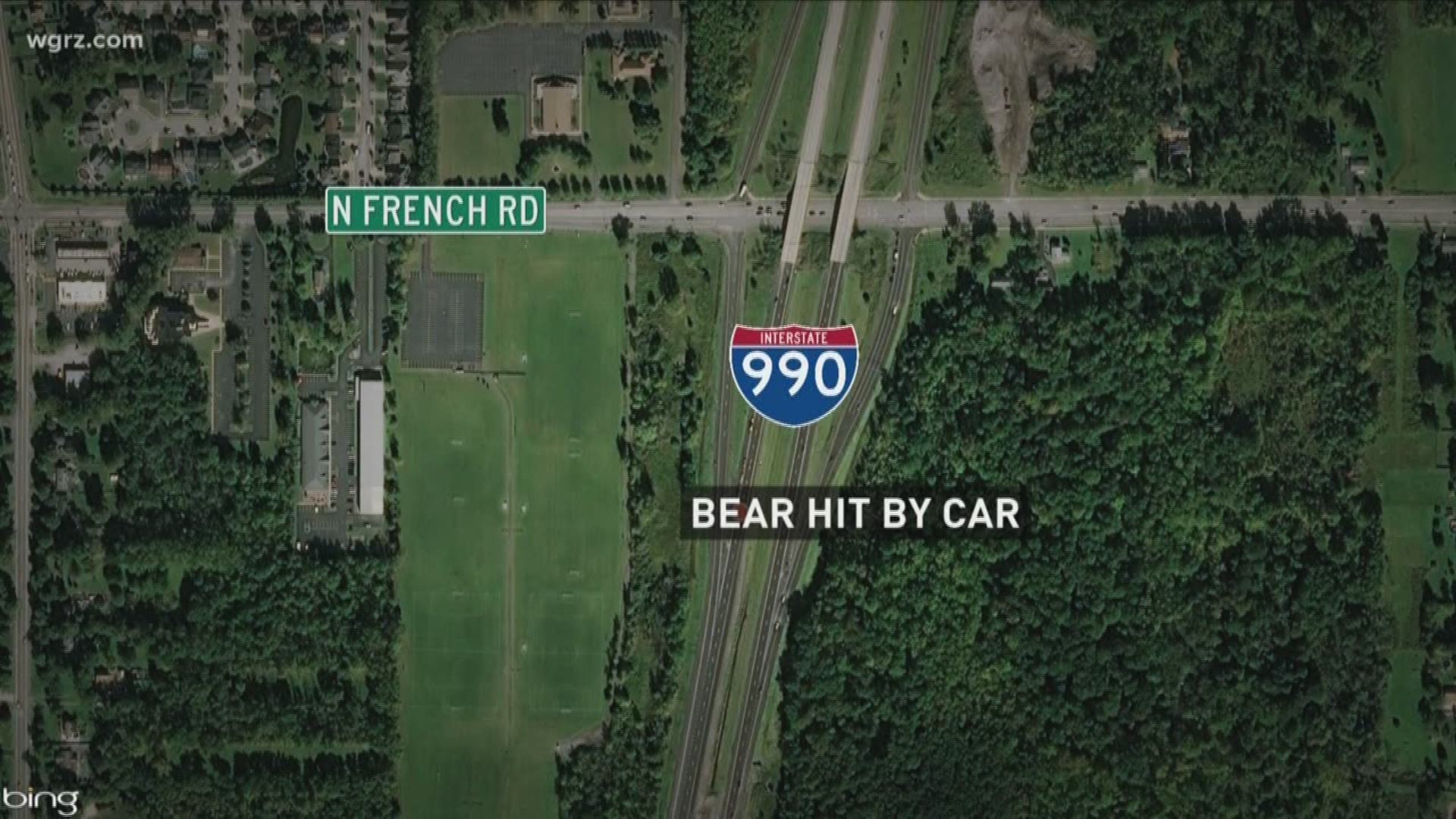 Police say a car actually hit the bear on the 990 South near the North French exit.