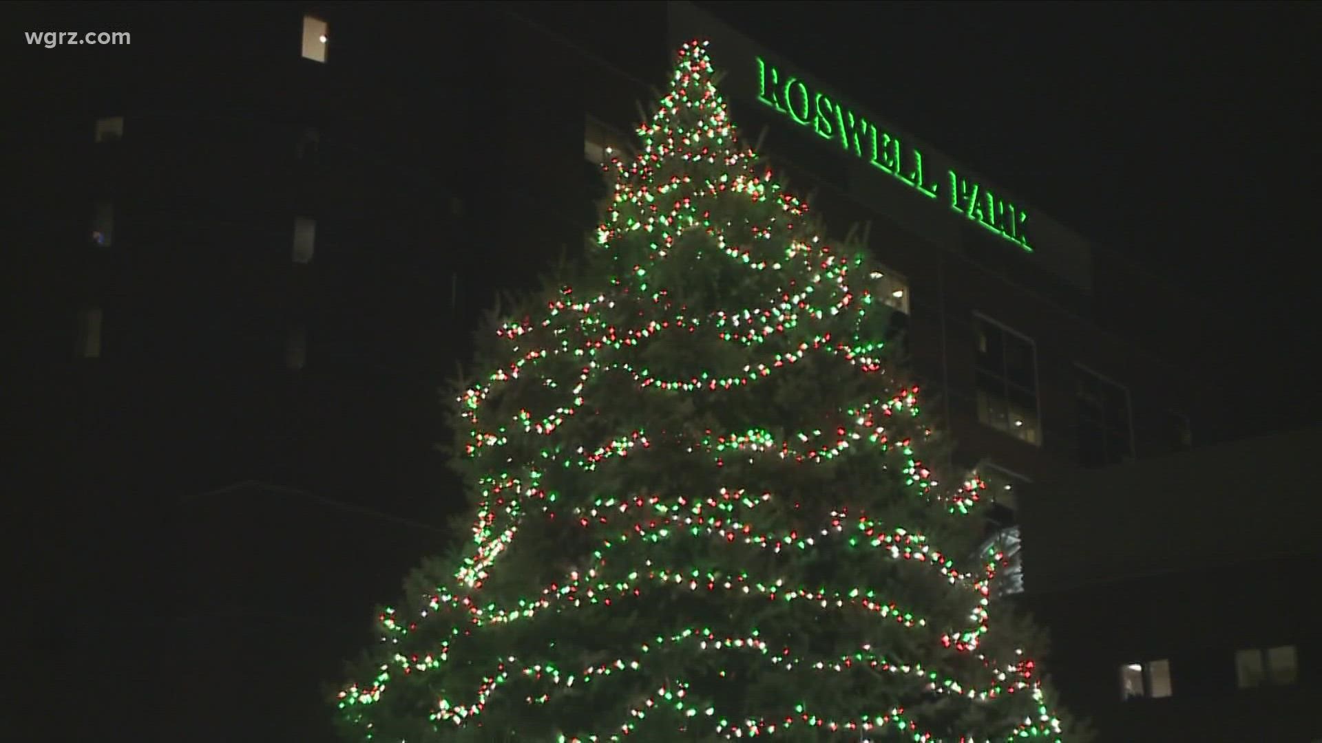 Roswell Park's Tree of Hope looking for a tree. It needs to be a spruce or a fir, 40 to 50 feet tall, with a maximum 20-inch diameter at the base.