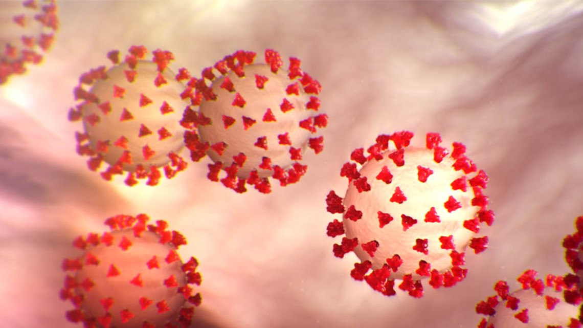 Erie County coronavirus deaths climb to 19; total cases top 700