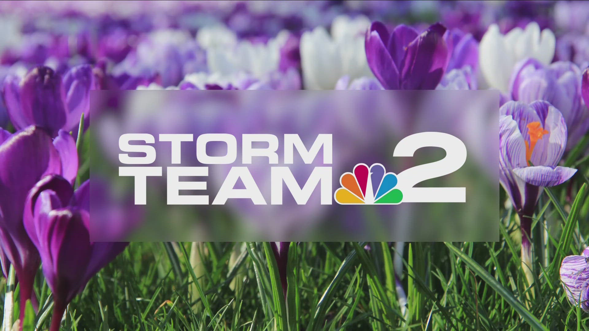 Storm Team 2 night forecast with Jennifer Stanonis for Friday, May 10.
