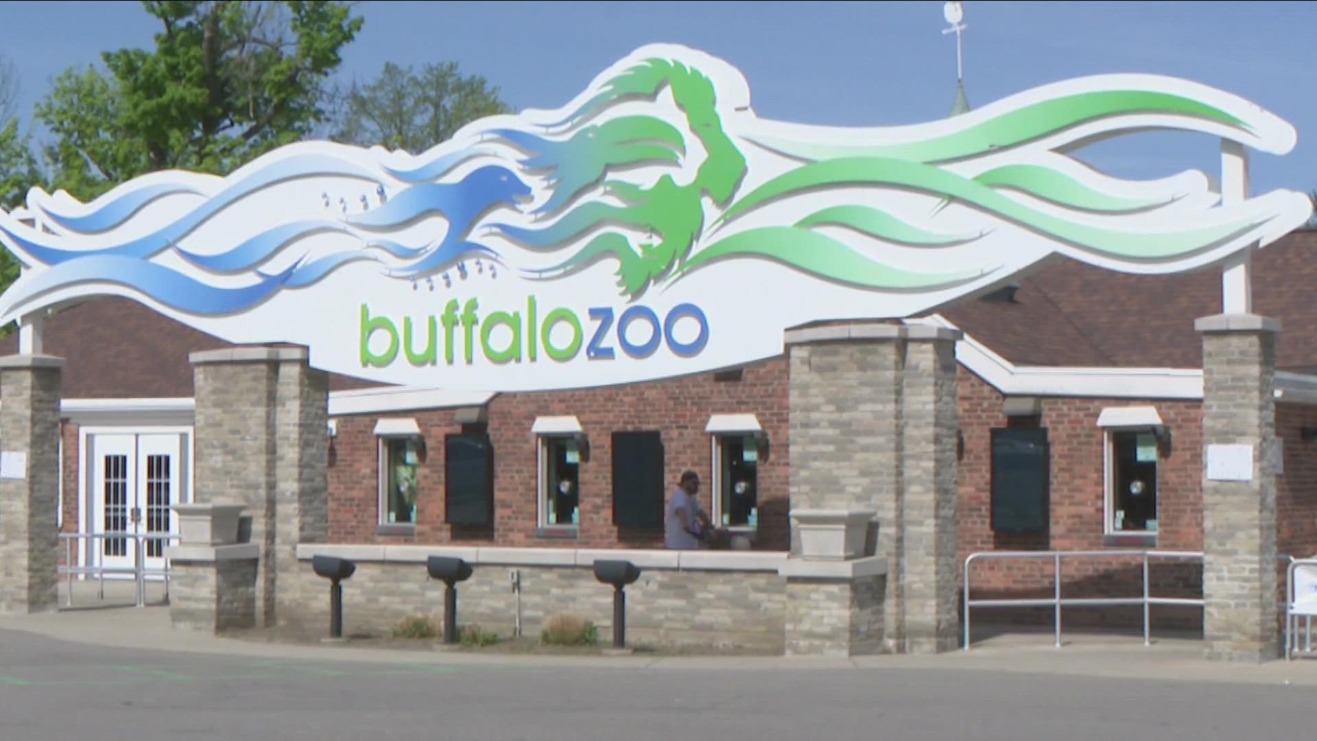 Buffalo Will Be Closed Wednesday