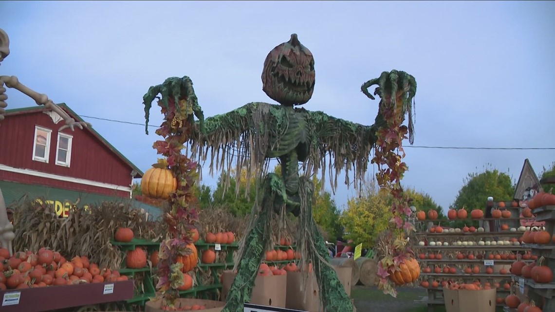 How old is too old to trick-or-treat; families weigh-in - Vimarsana News
