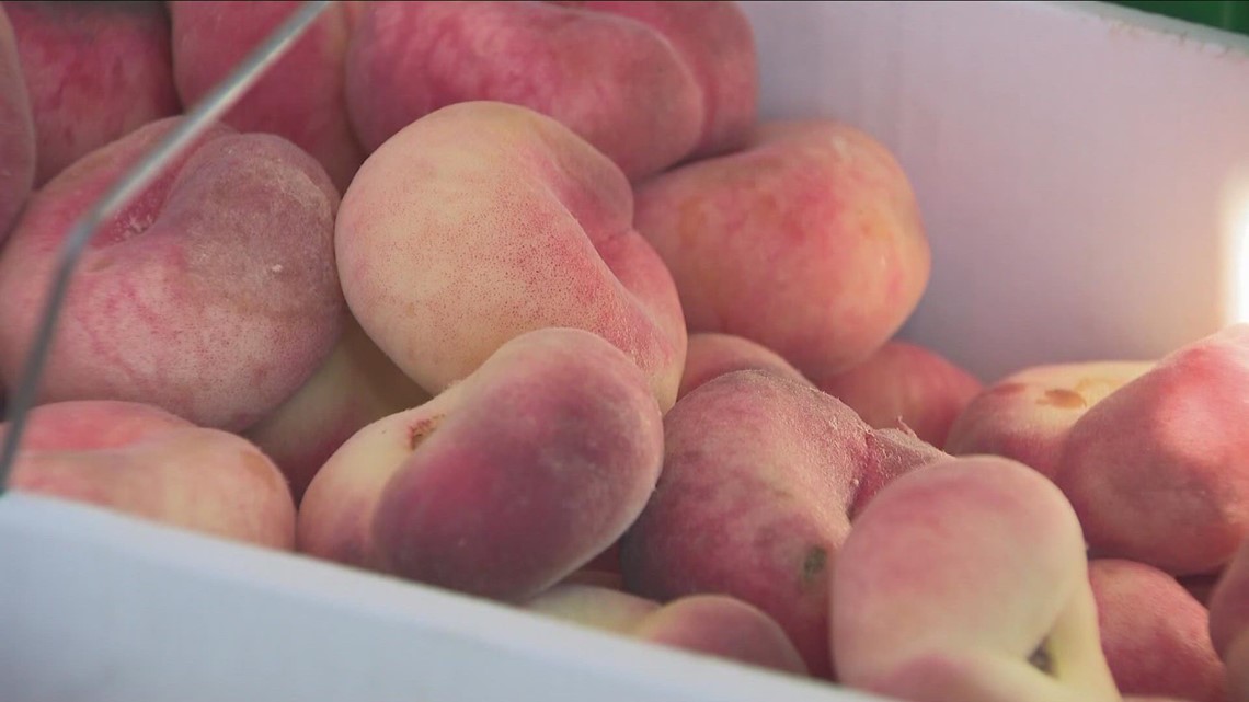 New farmers market now open for business in East Buffalo - Vimarsana News