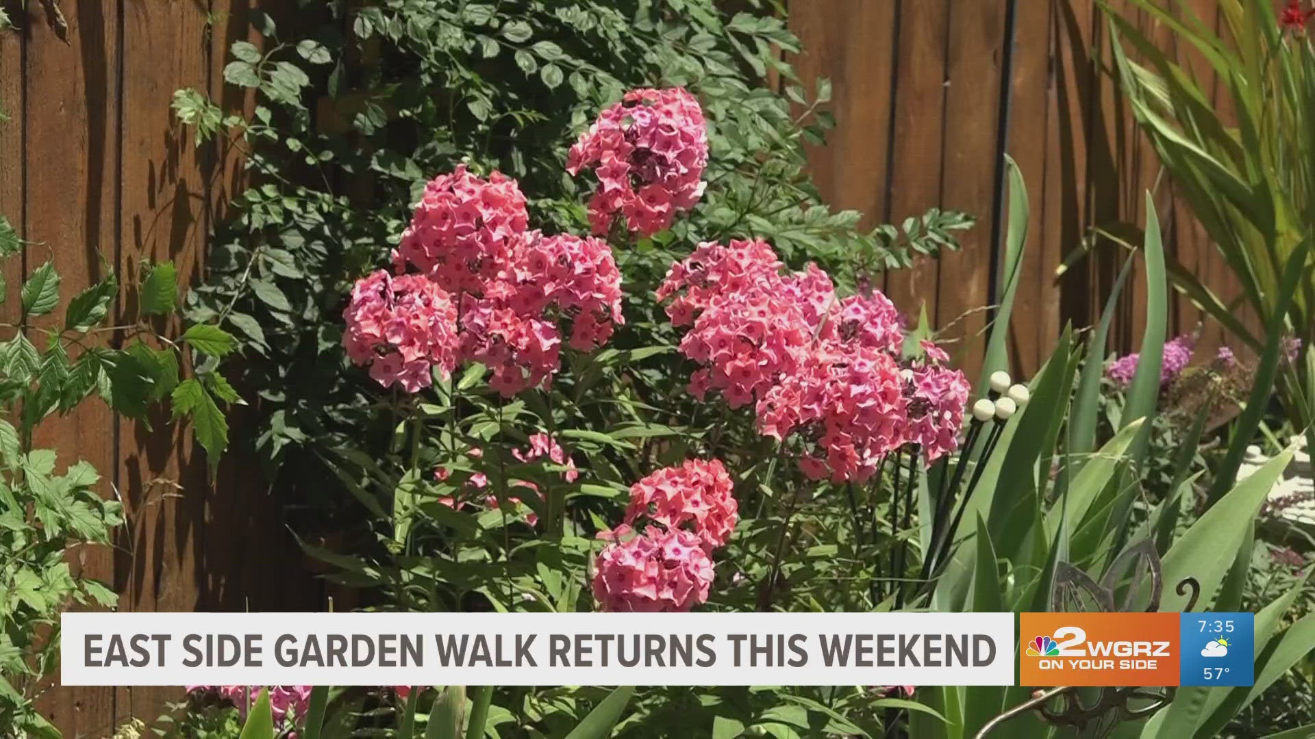 The East Side Garden Walk in Buffalo is showcasing over 100 gardens on July 19-20, from 10 a.m. to 4 p.m.