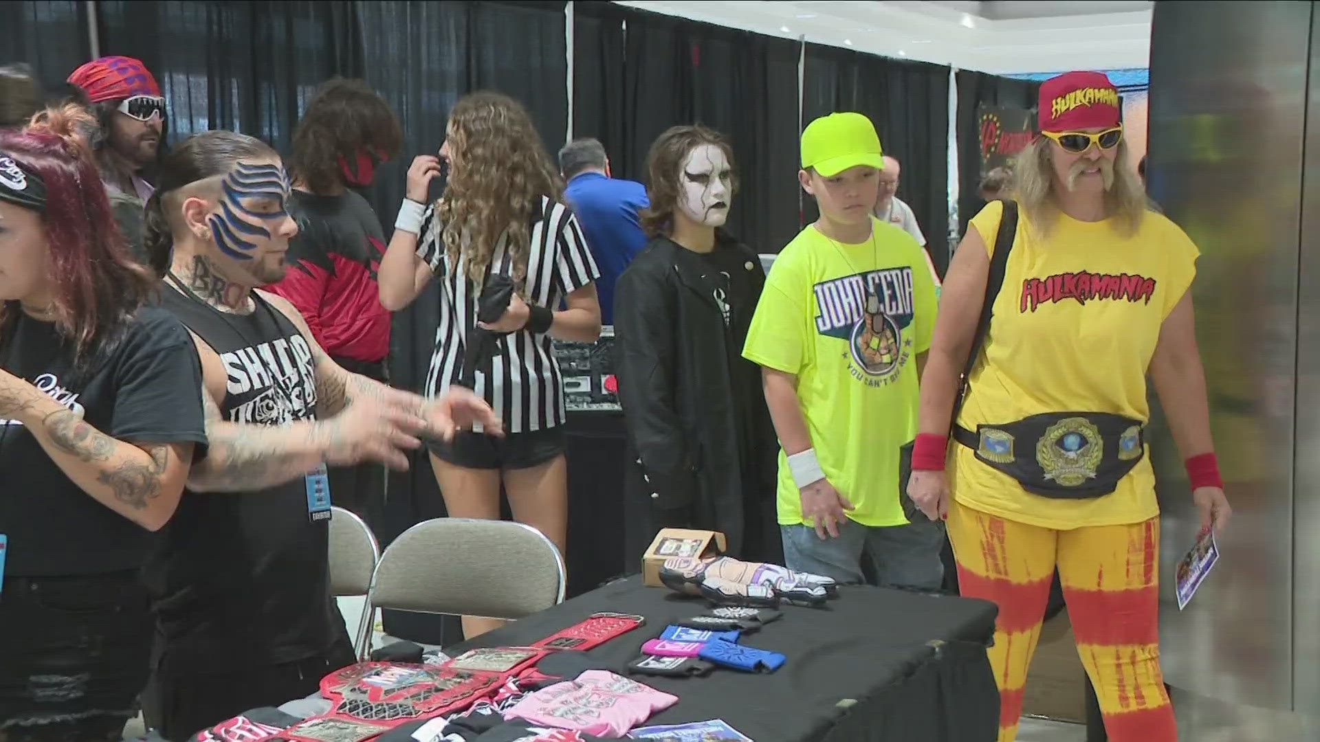 Lovers of movies, comic books, video games, and beyond are enjoying the Nickel City Comic Con this weekend at the Buffalo Niagara Convention Center.