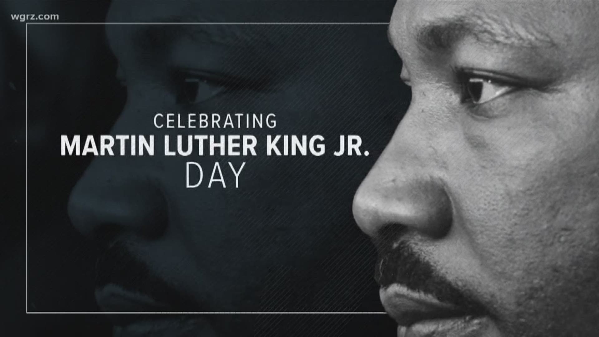 Martin Luther King Day Program In Albany