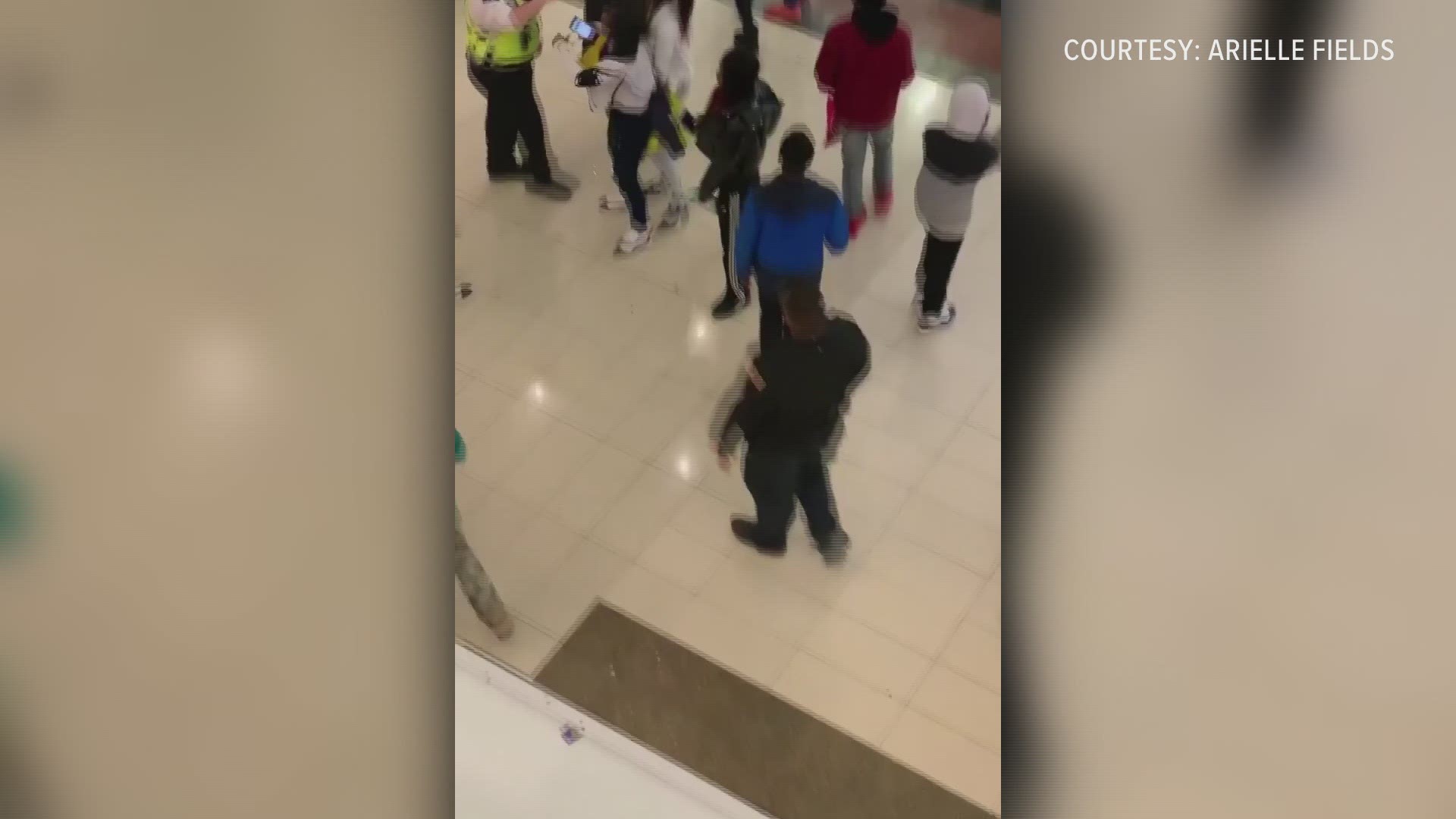 Arielle Fields shared this video she took inside the Walden Galleria of large fights that broke out. Cheektowaga Police say they dealt with at least 3 large fights. The situation is under control, according to CPD, and reports that shots were fired were FALSE.