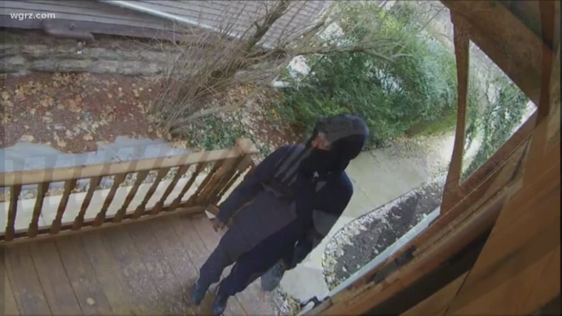 Thief Stealing Packages from Richmond Avenue Area