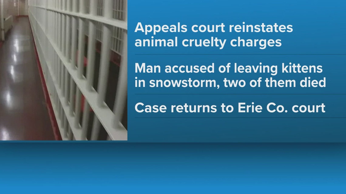 Animal cruelty case to return to court | wgrz.com