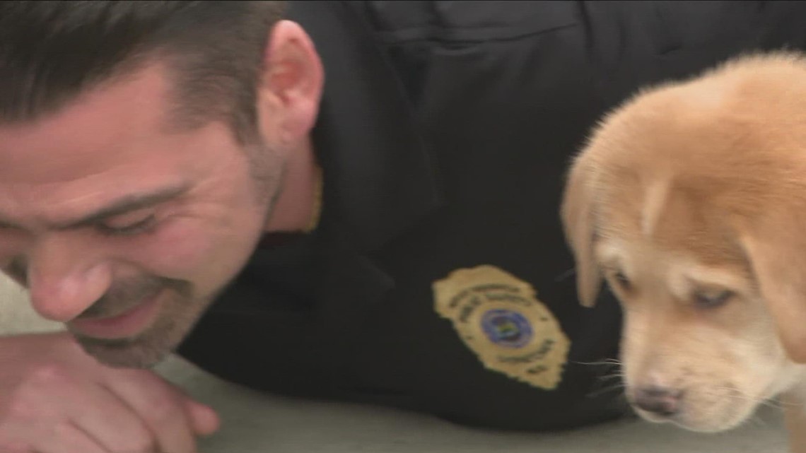 WS Police Rescue Animal Calendar Shoot wgrz com