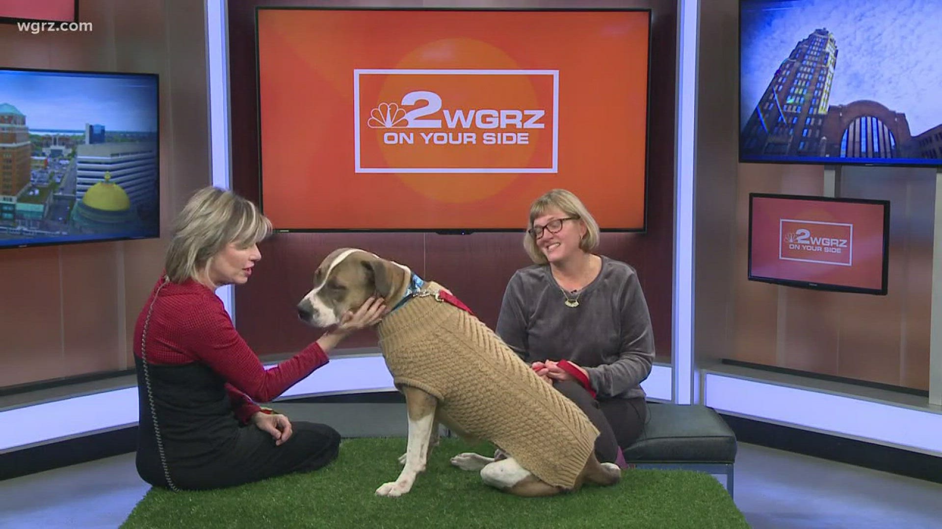 Arnold stops by Daybreak to find his forever home.
