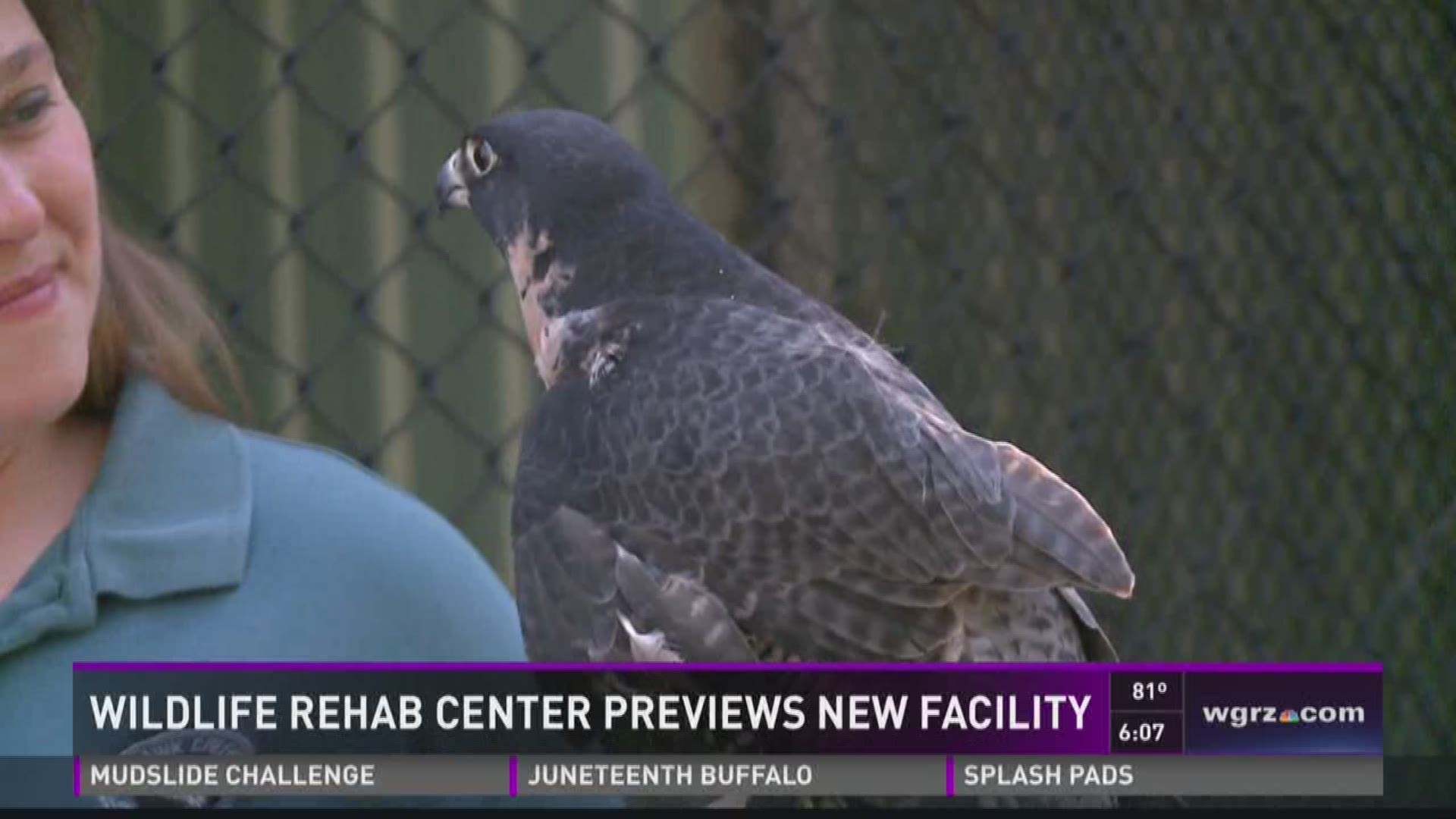 Wildlife rehab center previews new facility